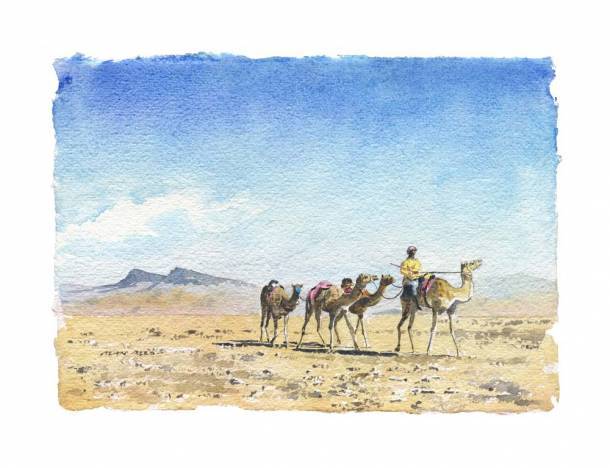 Prints of Camels Oman