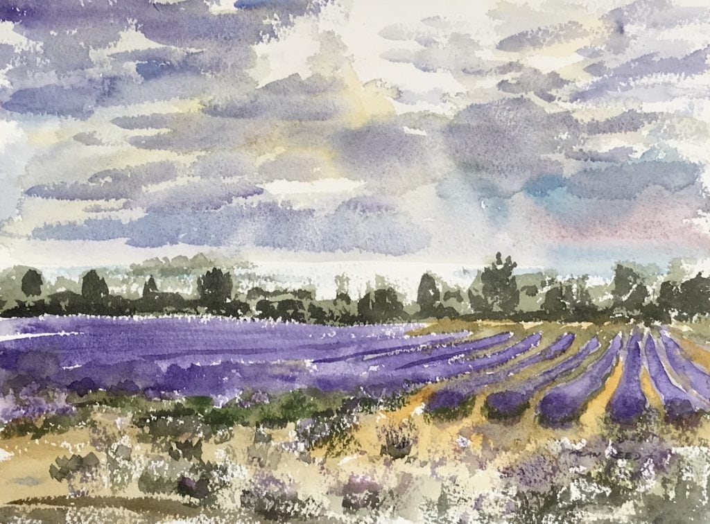 Lavender Fields