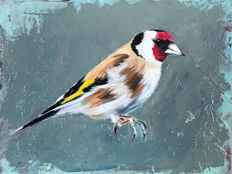 Goldfinch Bird Paintings