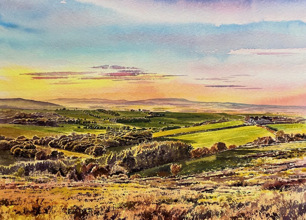 Cheviot View